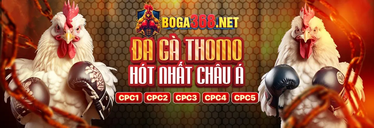 Đá gà trực tuyến 7789bet info